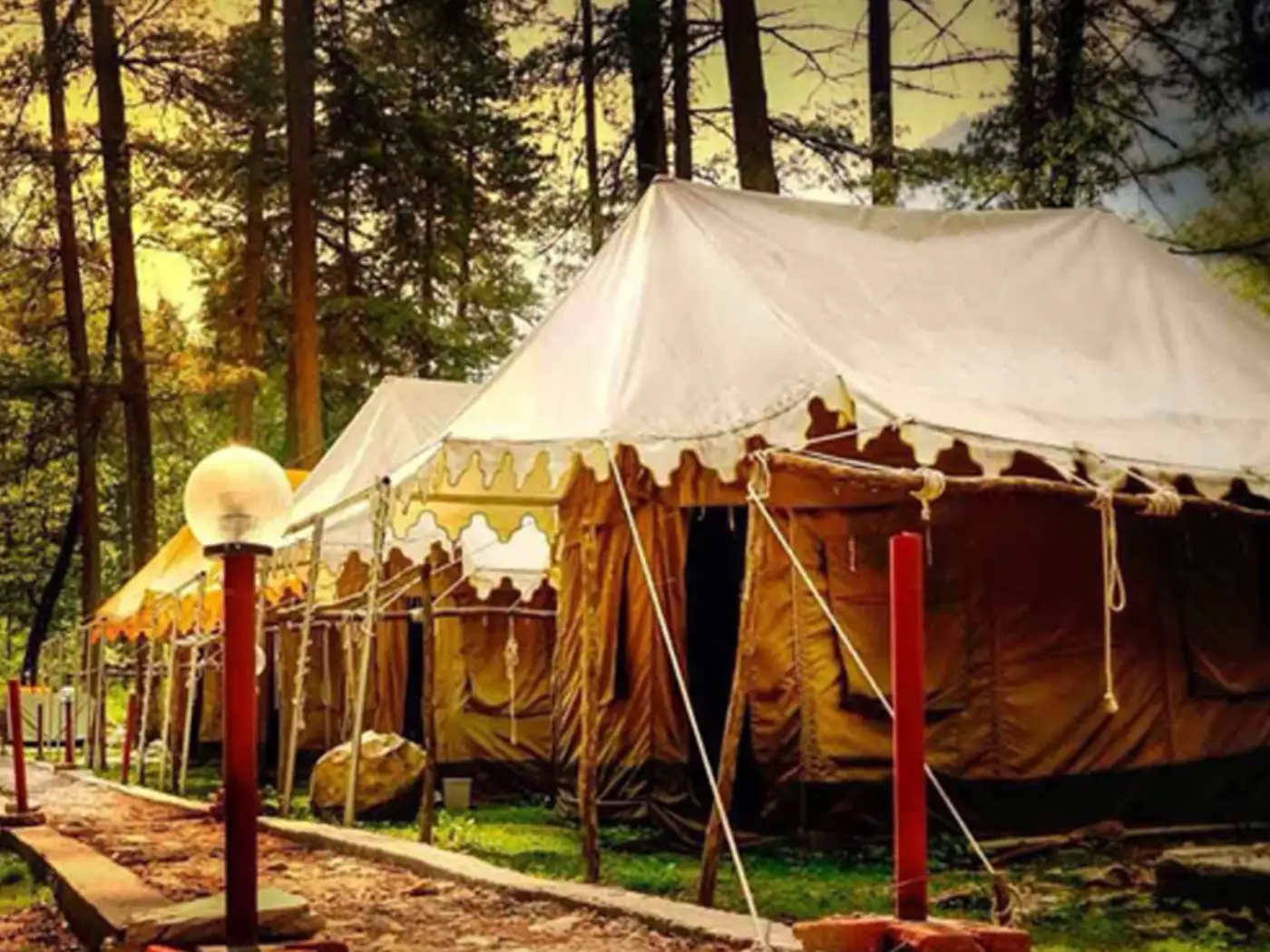 Tented camping in a forest with pathway and lighting.